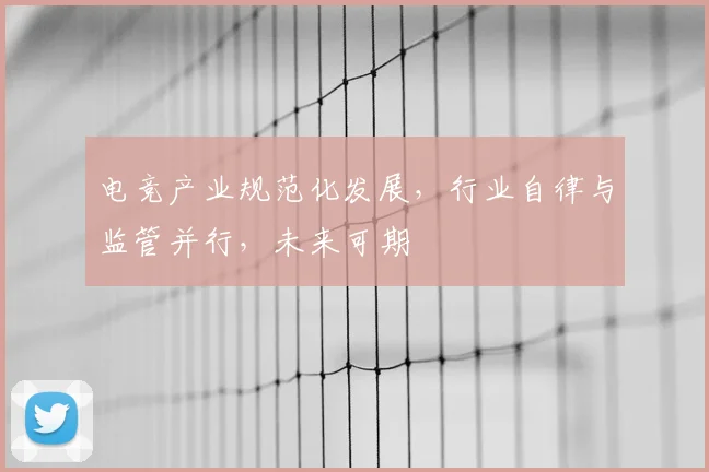电竞产业规范化发展,行业自律与监管并行,未来可期