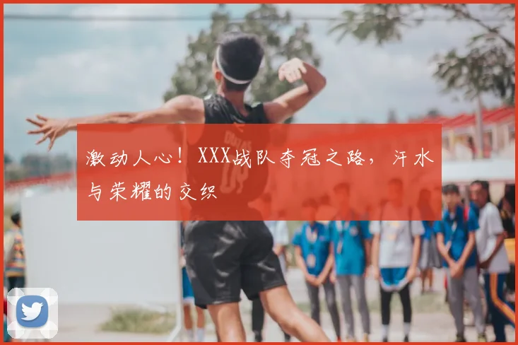 激动人心！XXX战队夺冠之路，汗水与荣耀的交织