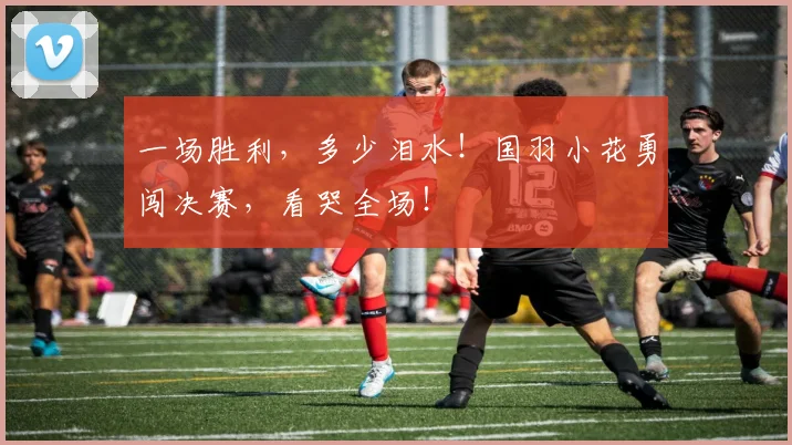 一场胜利，多少泪水！国羽小花勇闯决赛，看哭全场！